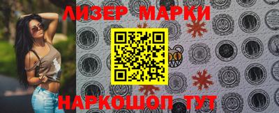 стафф Кингисепп