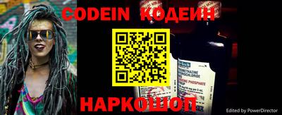 стафф Кингисепп