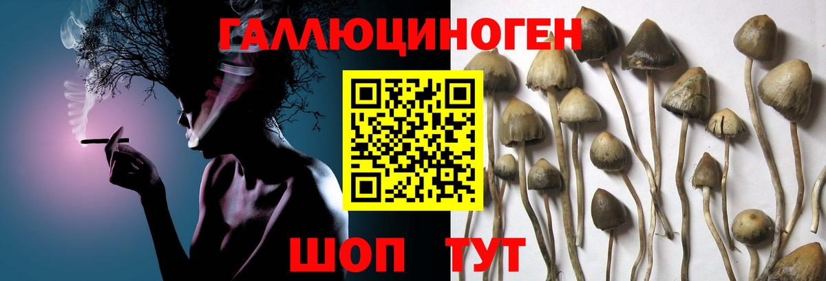 Лесной  Галлюциногенные грибы мицелий  Вход с VPN 