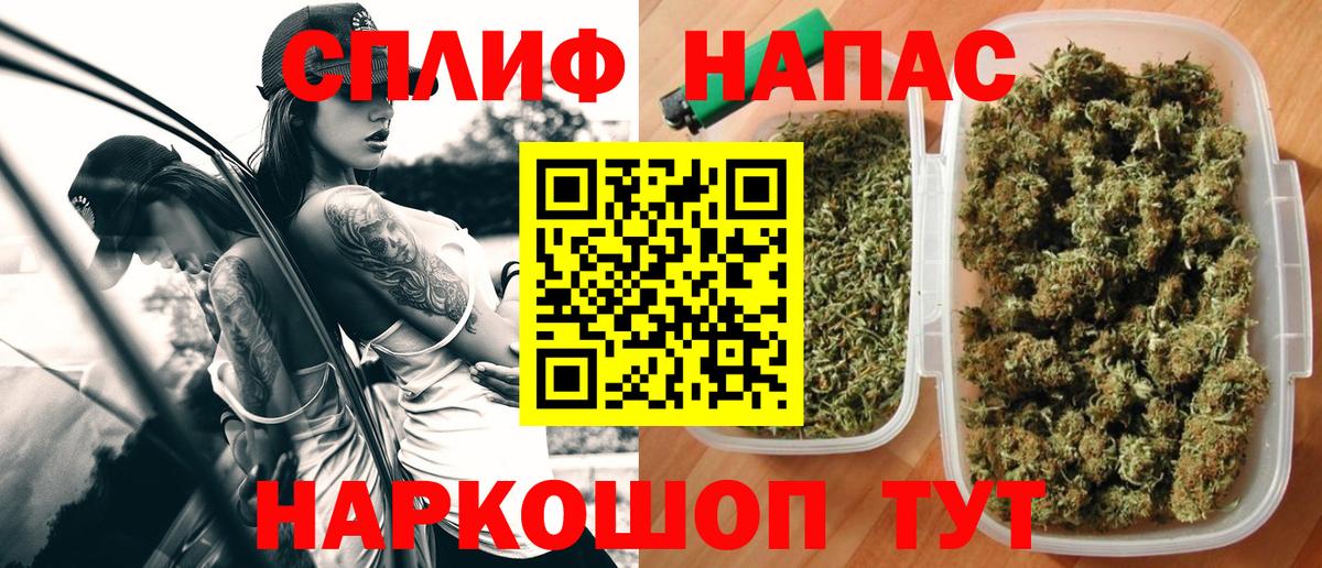 Бошки марихуана семена  Канабис сатива  Вход с VPN  Лесной 